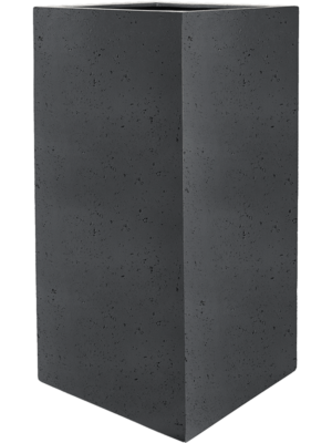 Grigio D 30 H 80 cm - PlantenShop24 - 28-08-2025