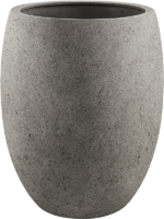 Grigio D 40 H 50 cm - PlantenShop24 - 19-08-2024