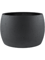 Grigio D 50 H 31 cm - PlantenShop24 - 15-08-2024
