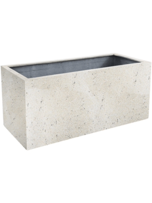Grigio D 50 H 50 cm - PlantenShop24 - 22-10-2024