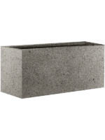 Grigio D 50 H 50 cm - PlantenShop24 - 22-10-2024