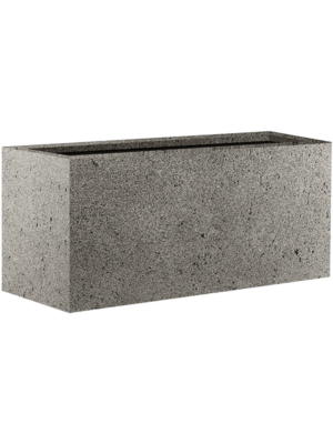 Grigio D 50 H 50 cm - PlantenShop24 - 22-10-2024