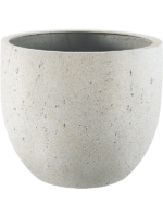 Grigio D 55 H 46 cm - PlantenShop24 - 20-08-2024