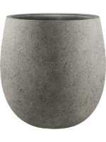 Grigio D 55 H 55 cm - PlantenShop24 - 20-08-2024