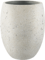 Grigio D 55 H 68 cm - PlantenShop24 - 20-08-2024