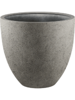 Grigio D 60 H 54 cm - PlantenShop24 - 20-08-2024