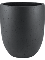 Grigio D 68 H 80 cm - PlantenShop24 - 20-08-2024
