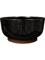 Jayla D 28 H 14 cm - PlantenShop24 - 23-04-2025