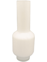 Jess D 16 H 42 cm - PlantenShop24 - 23-04-2025