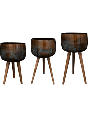 Jolien D 44 H 88 cm - PlantenShop24 - 23-04-2025
