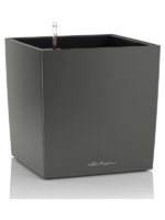 Lechuza Premium Cube D 30 H 30 cm - PlantenShop24 - 04-09-2024