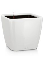Lechuza Premium Quadro LS D 50 H 47 cm - PlantenShop24 - 05-09-2024