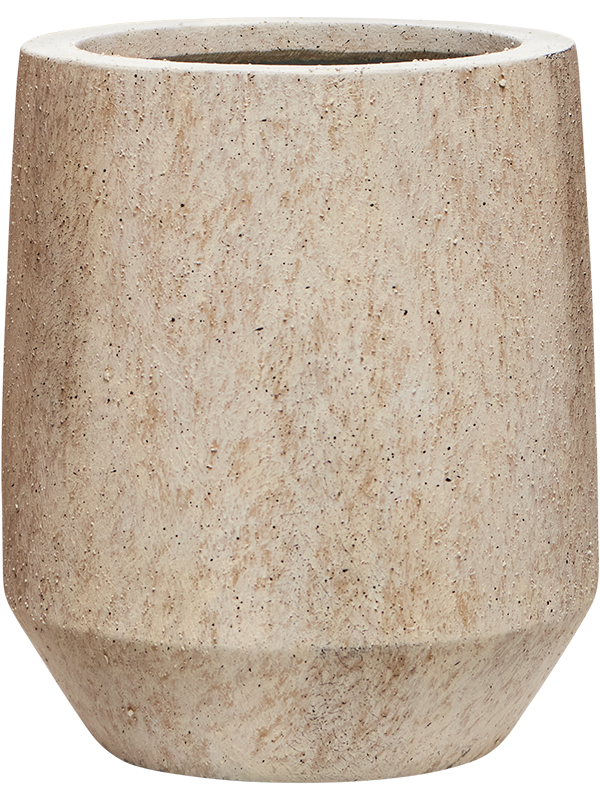 Mineral D 53 H 68 cm - PlantenShop24 - 22-05-2025