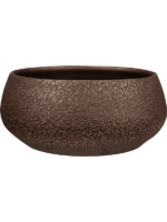 Noor D 28 H 13 cm - PlantenShop24 - 23-04-2025