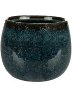 Odile D 12 H 9 cm - PlantenShop24 - 28-05-2025