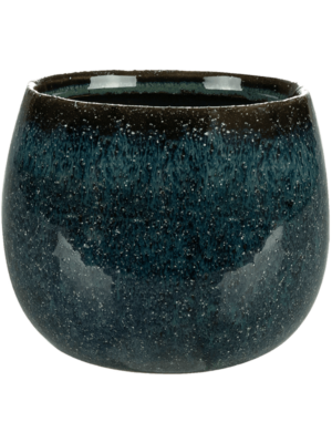 Odile D 12 H 9 cm - PlantenShop24 - 28-05-2025
