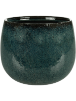 Odile D 21 H 17 cm - PlantenShop24 - 26-04-2025