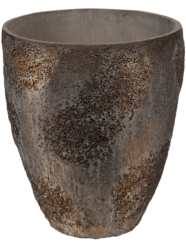Oyster D 42 H 48 cm - PlantenShop24 - 31-01-2025