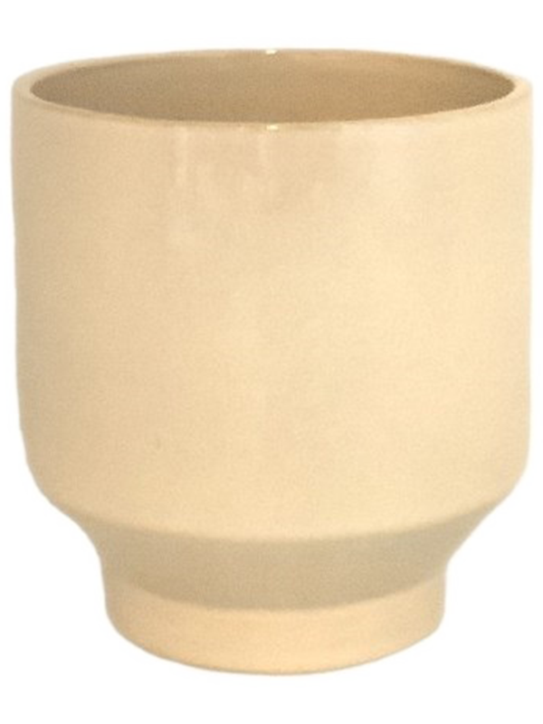 Pato D 13 H 13 cm - PlantenShop24 - 18-03-2025