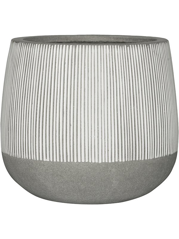 Ridged D 42 H 35 cm - PlantenShop24 - 31-01-2025
