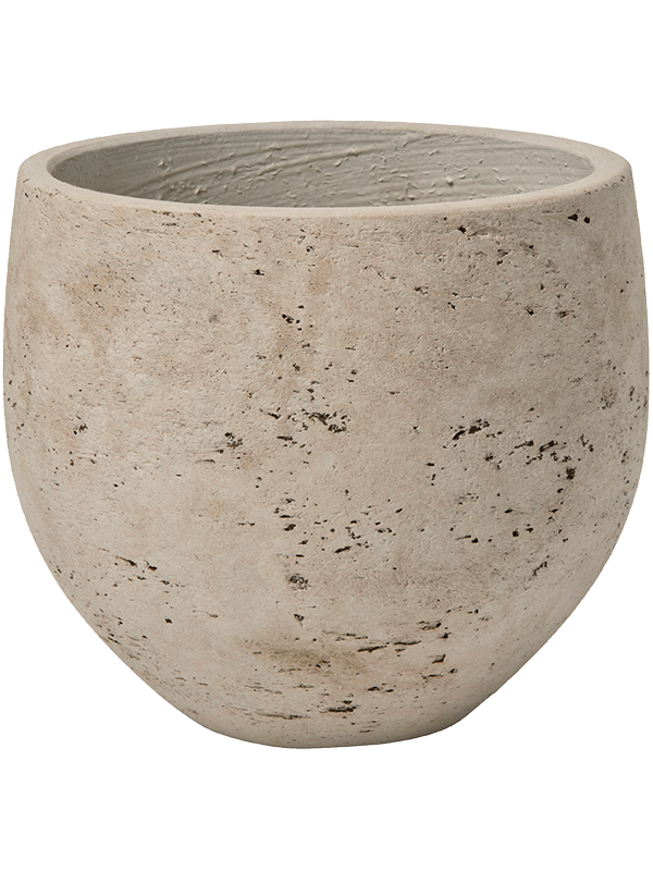 Rough D 23 H 21 cm - PlantenShop24 - 31-01-2025