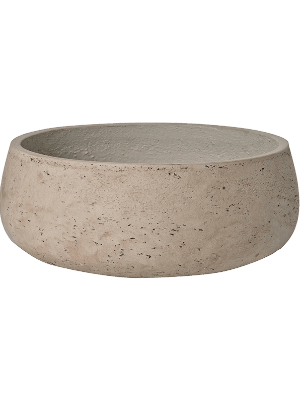 Rough D 29 H 11 cm - PlantenShop24 - 26-02-2025