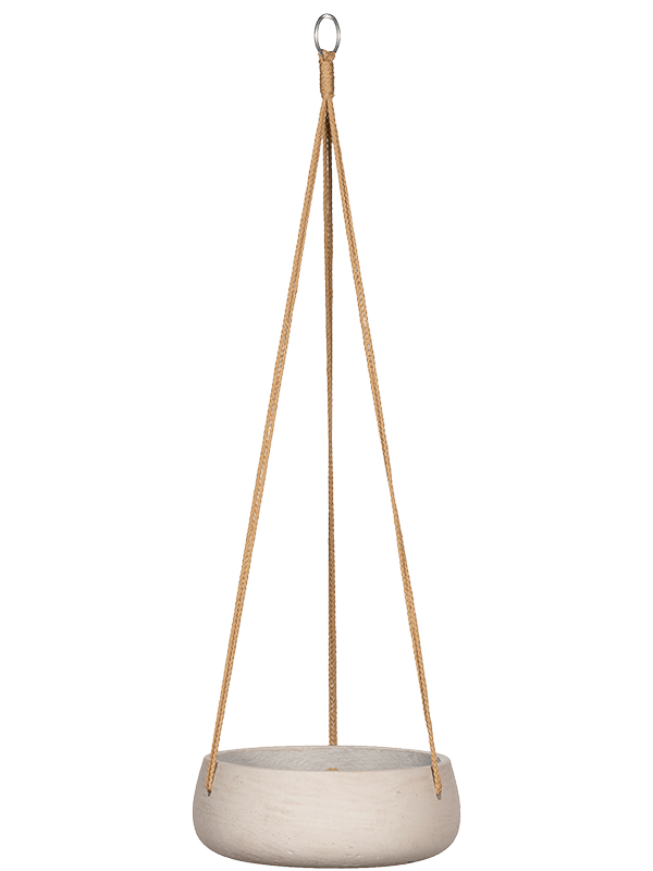 Rough D 29 H 11 cm - PlantenShop24 - 31-01-2025