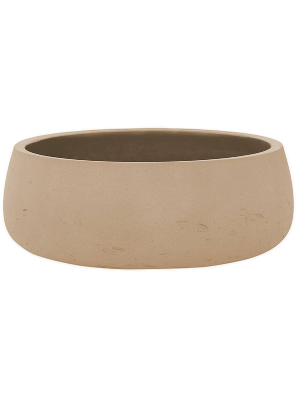 Rough D 29 H 11 cm - PlantenShop24 - 27-03-2025