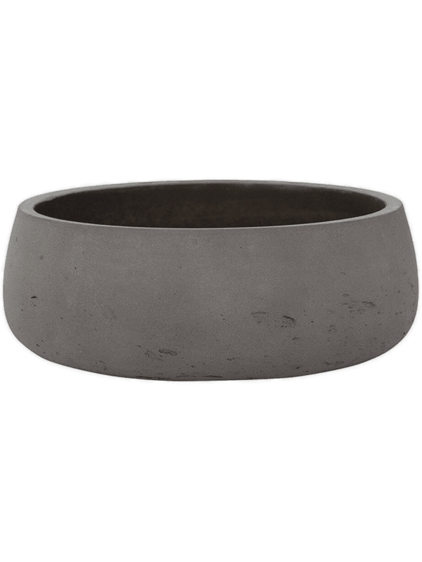 Rough D 35 H 13 cm - PlantenShop24 - 26-02-2025