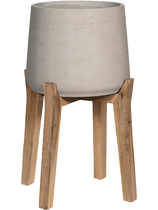 Rough With Feet High D 23 H 43 cm - PlantenShop24 - 31-01-2025