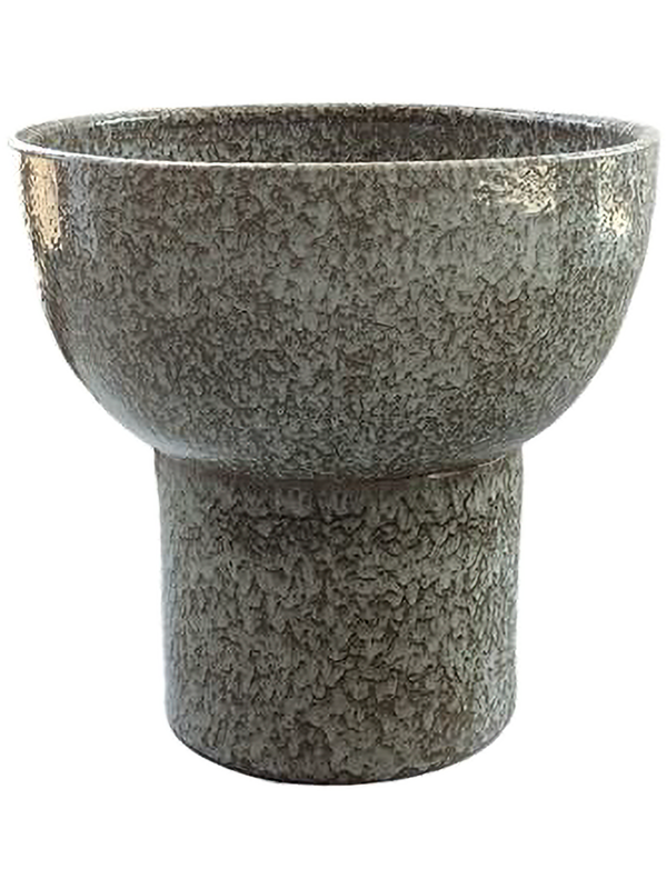 Rumba D 40 H 40 cm - PlantenShop24 - 22-05-2025