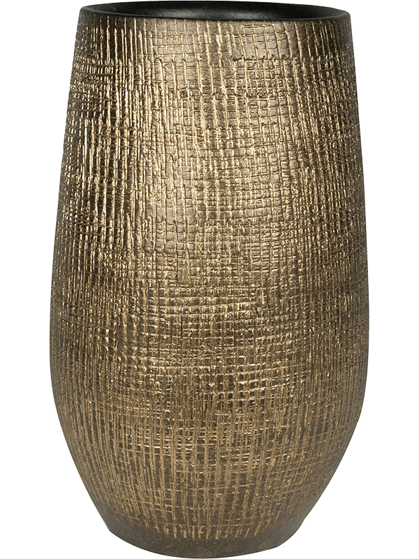 Ryan D 18 H 30 cm - PlantenShop24 - 28-04-2025
