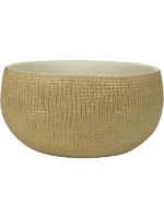 Ryan D 28 H 13 cm - PlantenShop24 - 23-04-2025