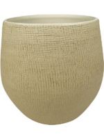 Ryan D 31 H 28 cm - PlantenShop24 - 23-04-2025