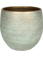 Ryan D 42 H 38 cm - PlantenShop24 - 23-04-2025