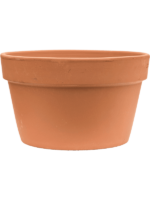 Terra Cotta D 43 H 26 cm - PlantenShop24 - 30-09-2024