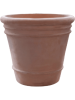 Terra Cotta Doppio D 33 H 29 cm - PlantenShop24 - 06-09-2024