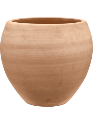 Terra Moderna D 45 H 40 cm - PlantenShop24 - 19-09-2024
