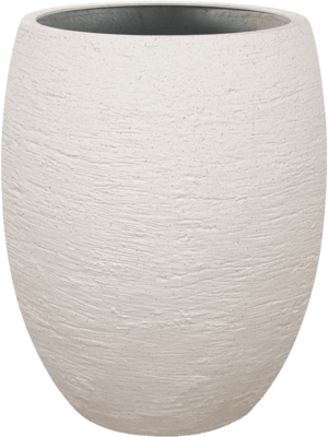 Terreno D 40 H 50 cm - PlantenShop24 - 23-05-2025