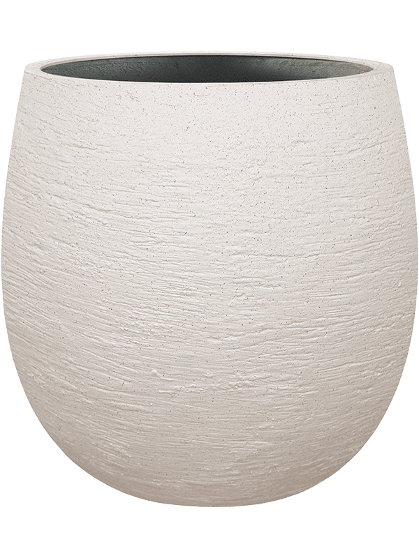 Terreno D 55 H 55 cm - PlantenShop24 - 23-05-2025