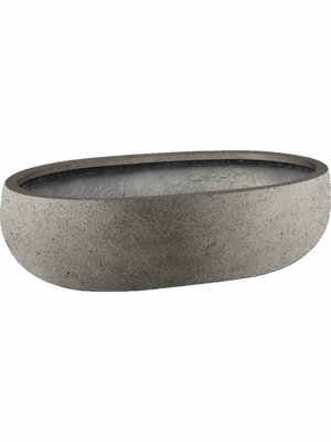 Grigio D 20 H 15 cm - PlantenShop24 - 16-04-2025