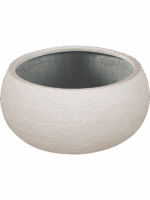 Terreno D 26 H 13 cm - PlantenShop24 - 17-04-2025