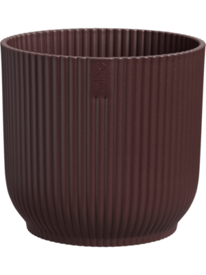 The Winery Collection D 22 H 20 cm - PlantenShop24 - 23-04-2025