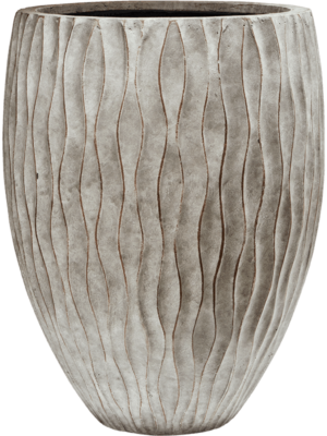Wave D 48 H 62 cm - PlantenShop24 - 05-06-2025
