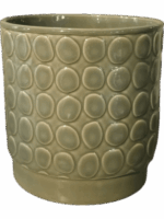 Eno Rel. D 10 H 11 cm - PlantenShop24 - 27-05-2025
