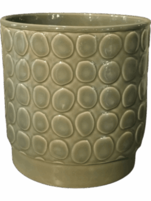 Eno Rel. D 16 H 16 cm - PlantenShop24 - 27-05-2025