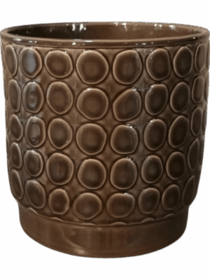 Eno Rel. D 16 H 16 cm - PlantenShop24 - 30-05-2025