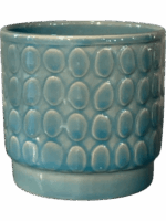 Eno Rel. D 10 H 11 cm - PlantenShop24 - 27-05-2025