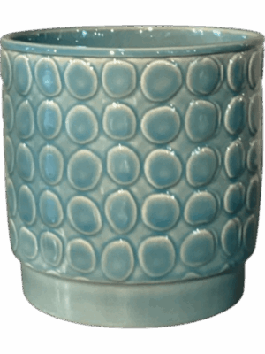 Eno Rel. D 13 H 13 cm - PlantenShop24 - 30-05-2025