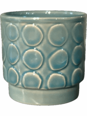 Eno Rel. D 8 H 8 cm - PlantenShop24 - 26-05-2025